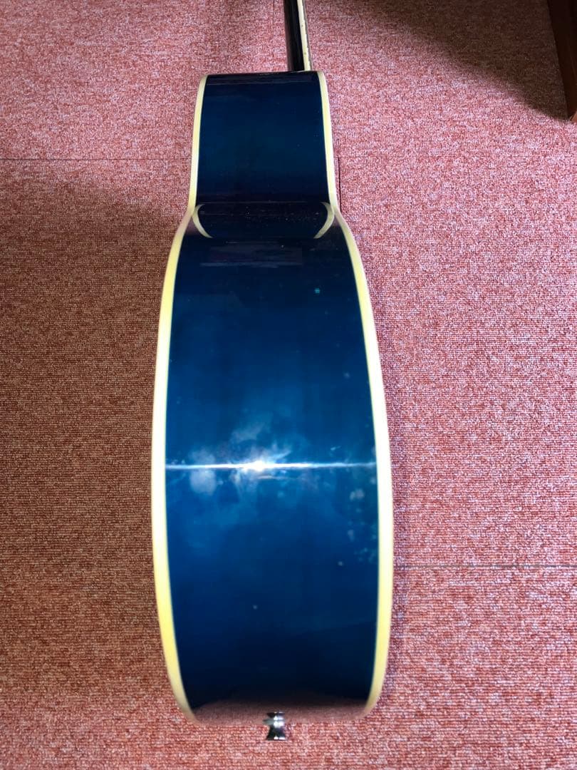 SEPIA CRUE FG-1 新品弦、ソフトケース、ピックをオマケ