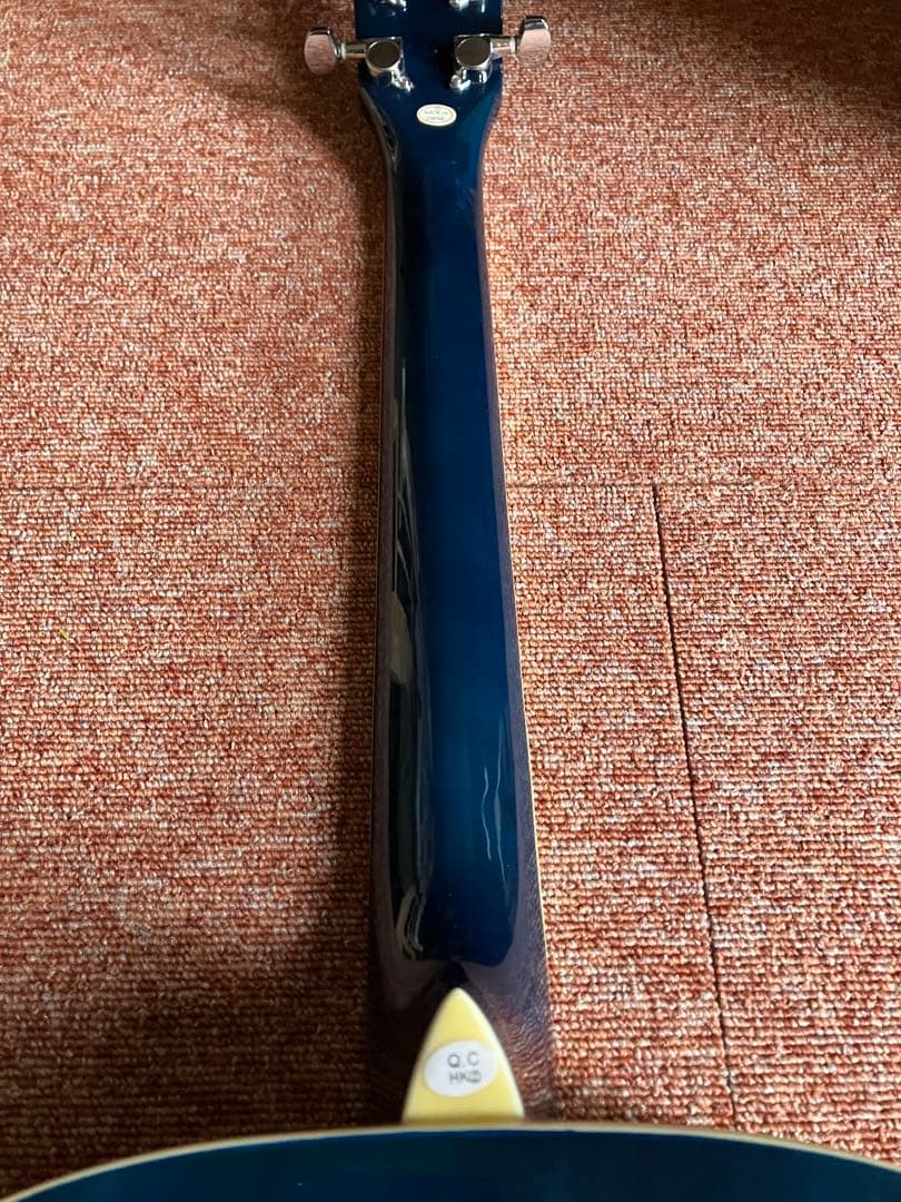 SEPIA CRUE FG-1 新品弦、ソフトケース、ピックをオマケ