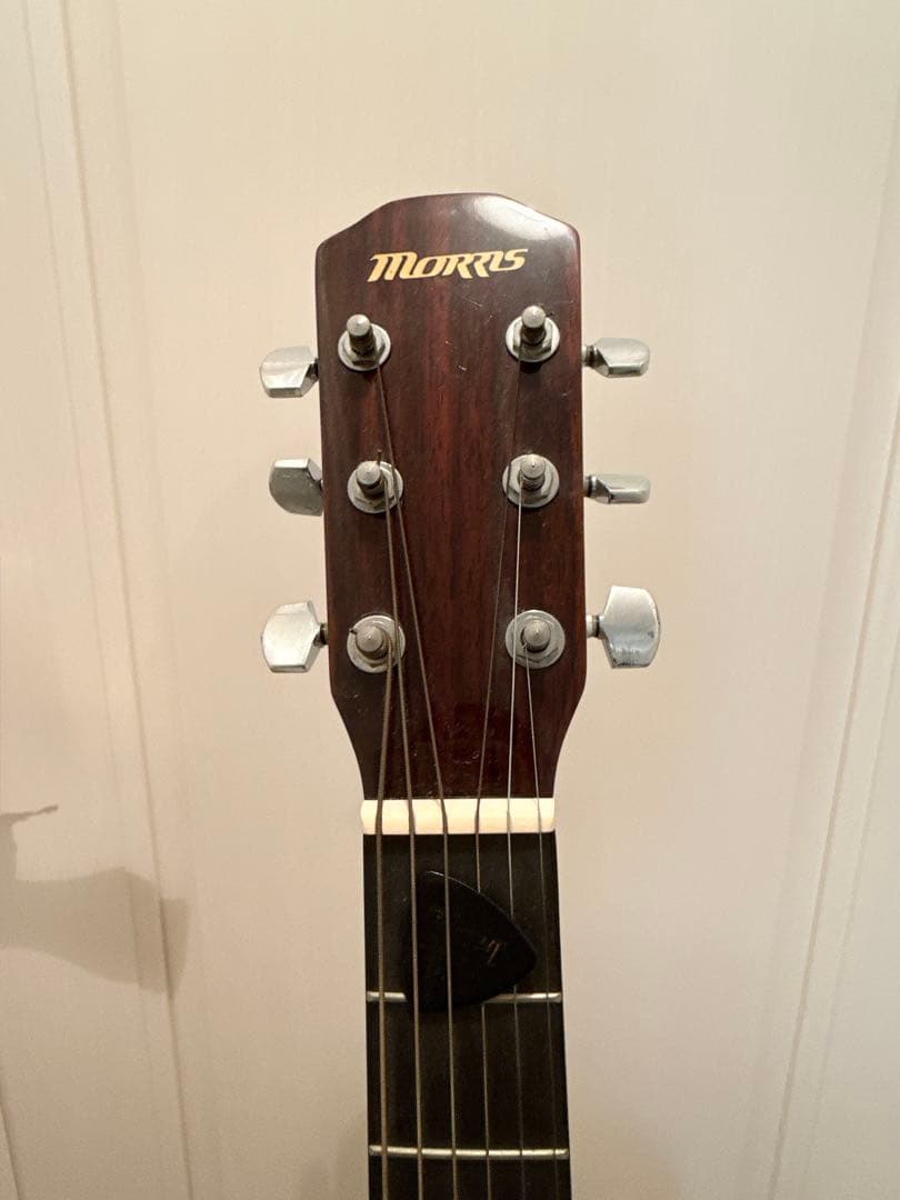 【美品】morris ギター M-25 TS