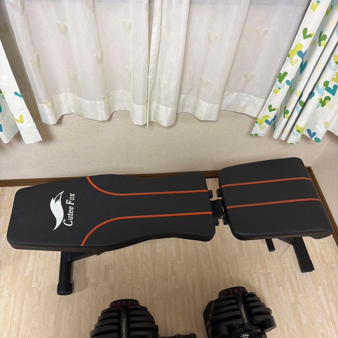 Bowflex 調整可能ダンベル & Cutie Fox ベンチセット引取り希望