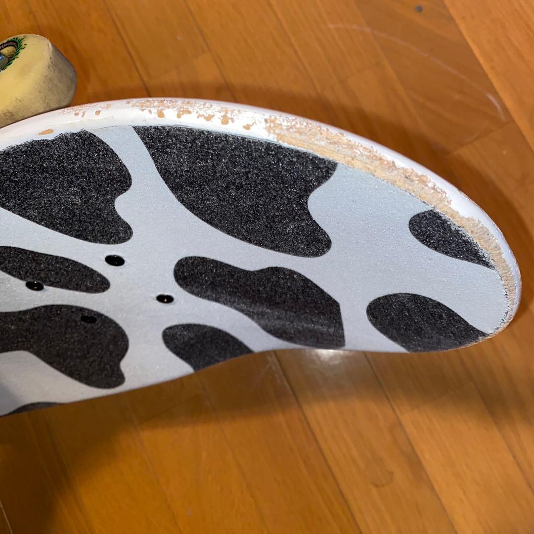 スケートボード skateboard 8.25inch complete