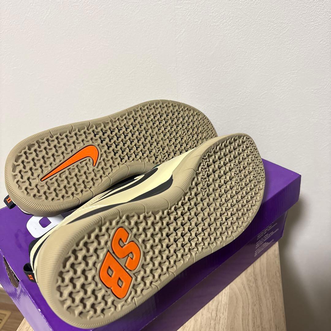NIKE SB ナイジャフリー2 (25cm)