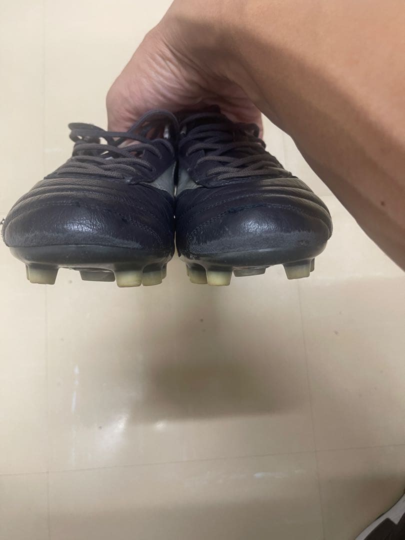 モレリアdna japan mizuno