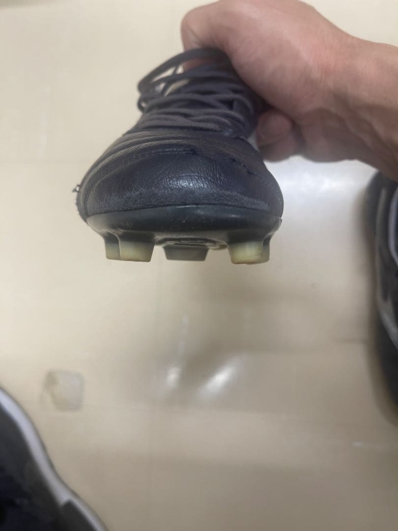 モレリアdna japan mizuno
