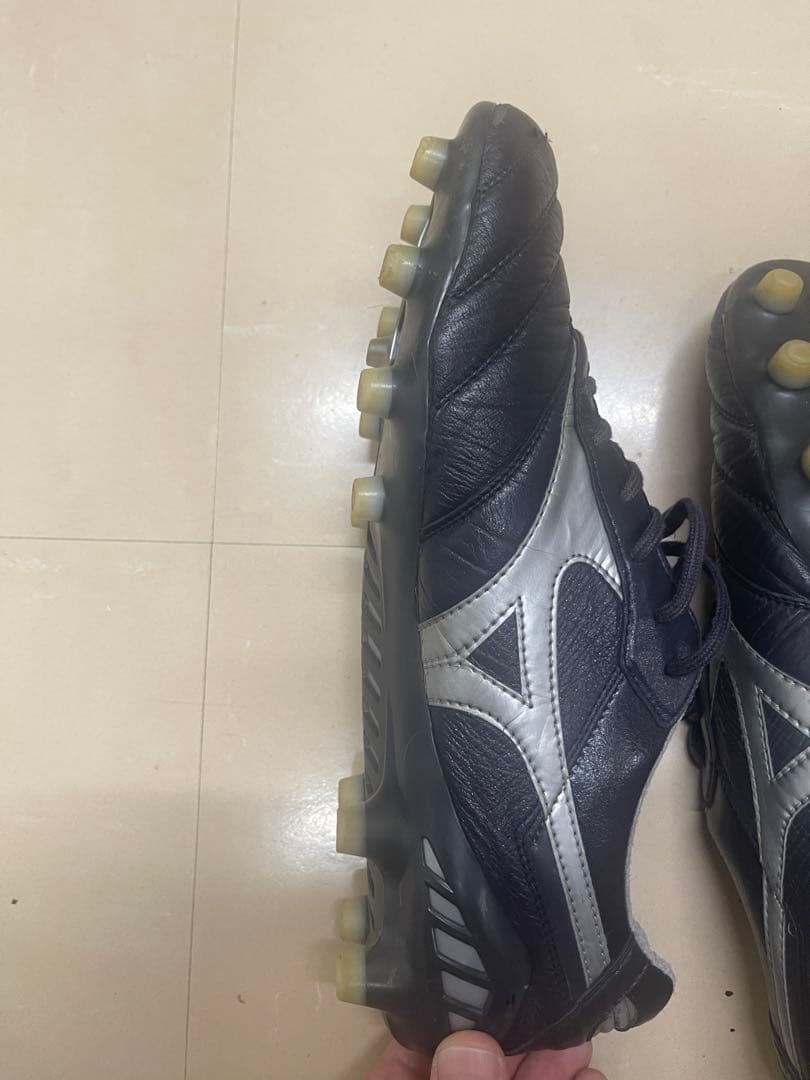 モレリアdna japan mizuno