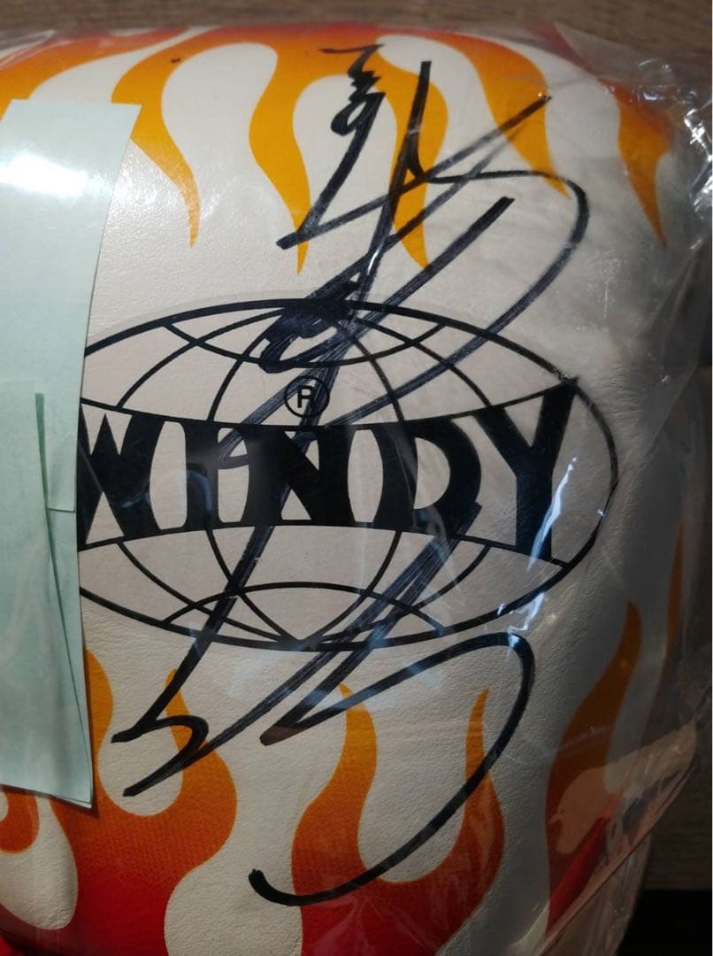竹原慎二直筆サイン入りWINDY製ボクシング・グローブ