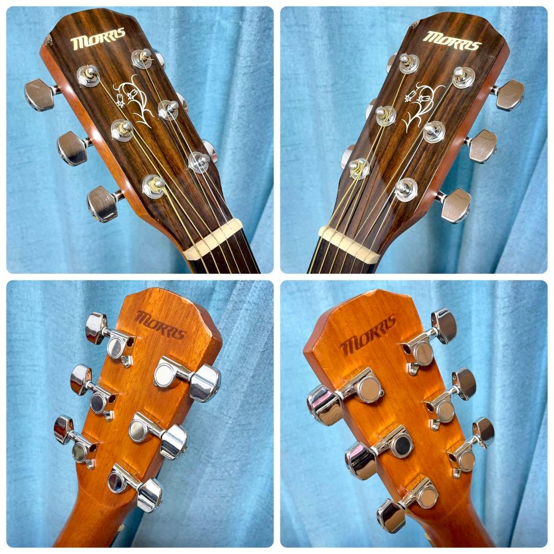 【牛骨】MORRIS！トップ単板！M-32Ⅱ【弾き易く調整☆新品弦】