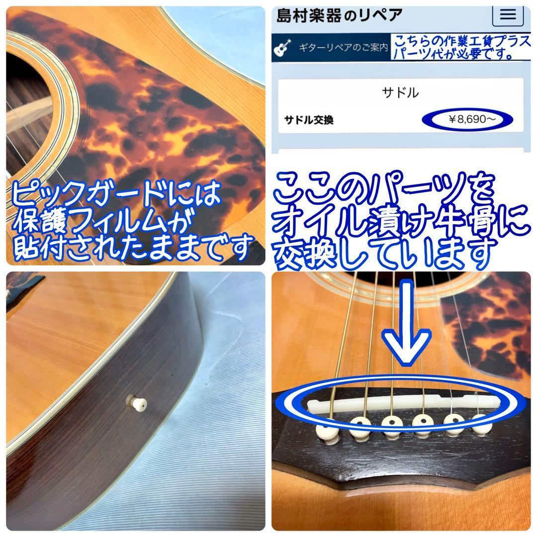 【牛骨】MORRIS！トップ単板！M-32Ⅱ【弾き易く調整☆新品弦】