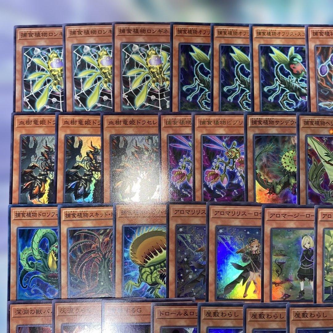 【2334】遊戯王　捕食植物デッキ　プレデタープランツ　本格構築　パーツ