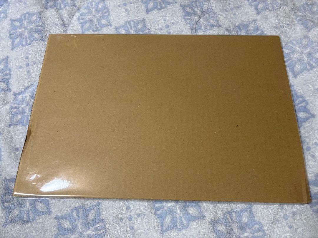 板倉可奈　オンライン特典会　ポスター