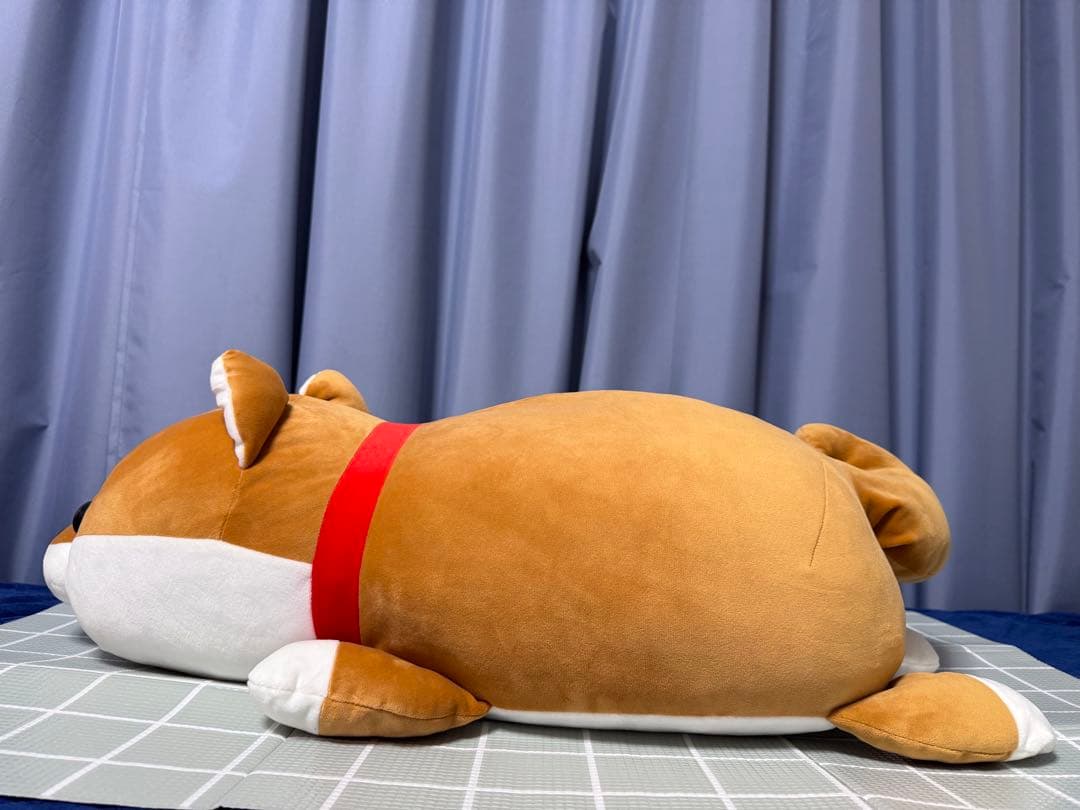 3/31まで値下げ　ハッピーまめしば特大　特賞　豆柴　柴犬