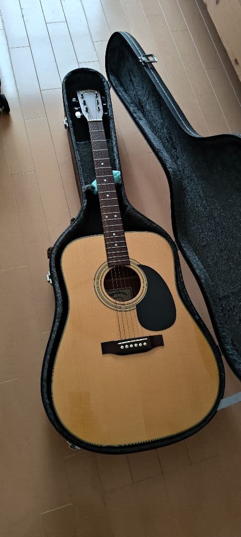 Sigma Guitars DM-1ST アコースティックギター