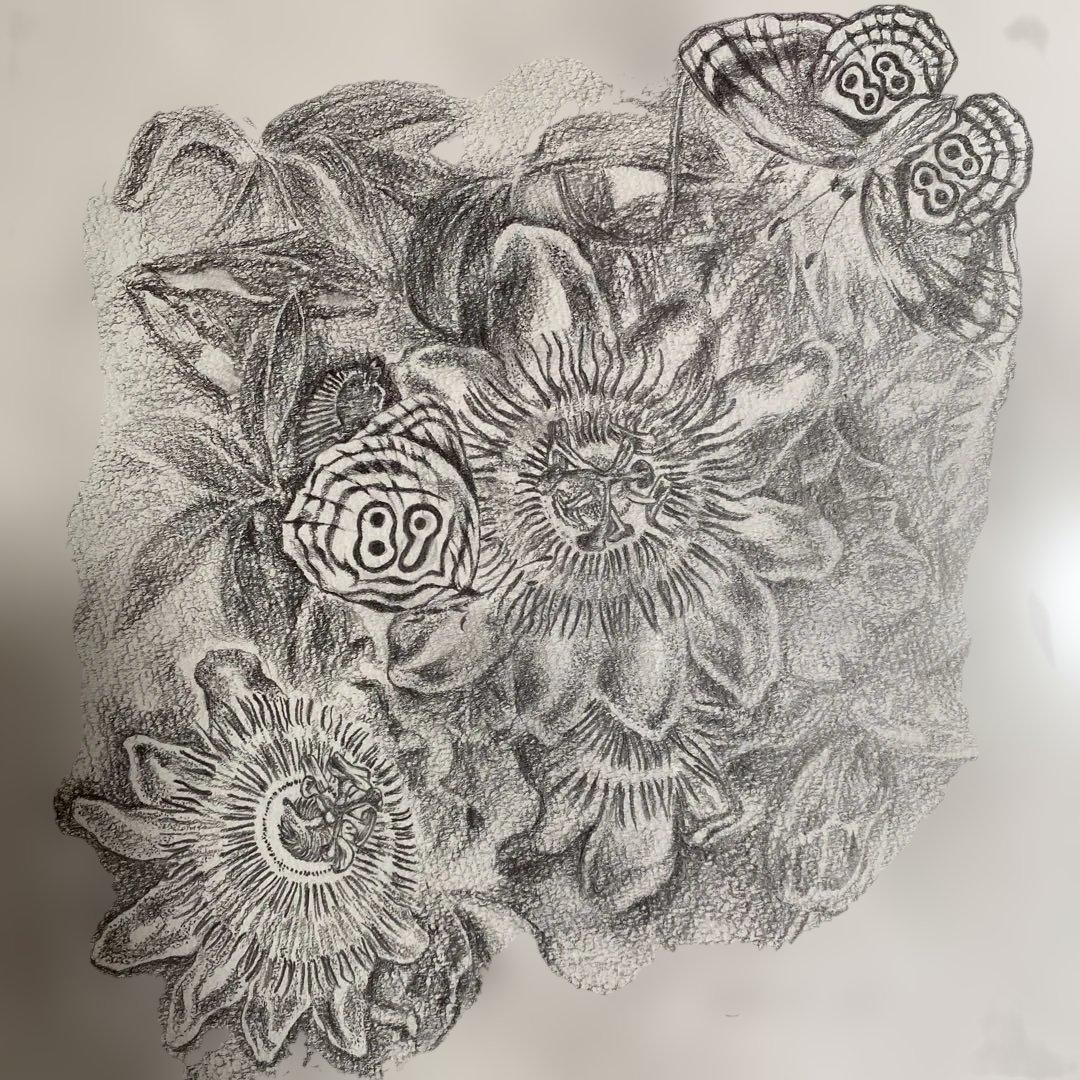絵画　　鉛筆画