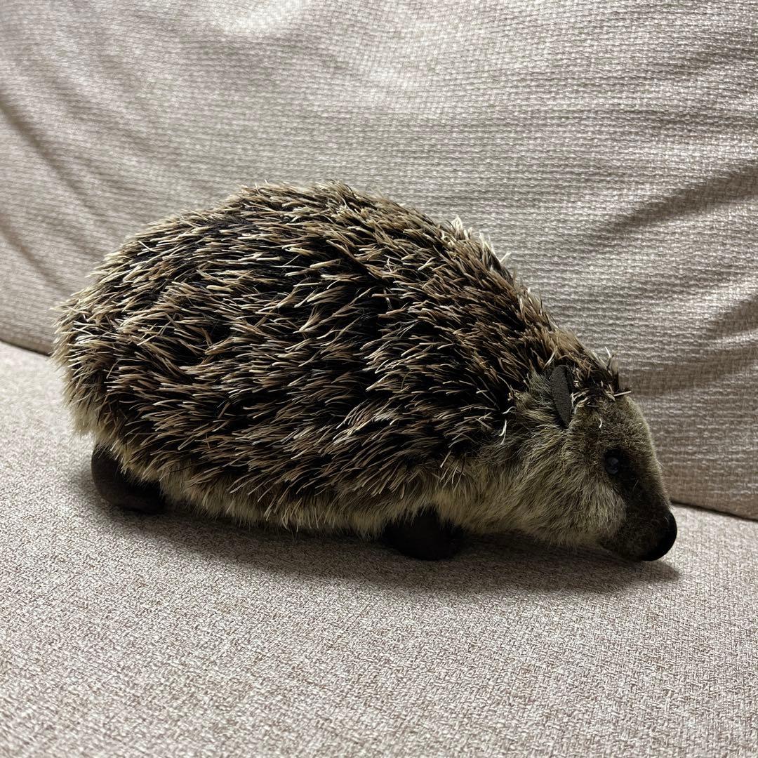 ケーセン　ぬいぐるみ　ハリネズミ