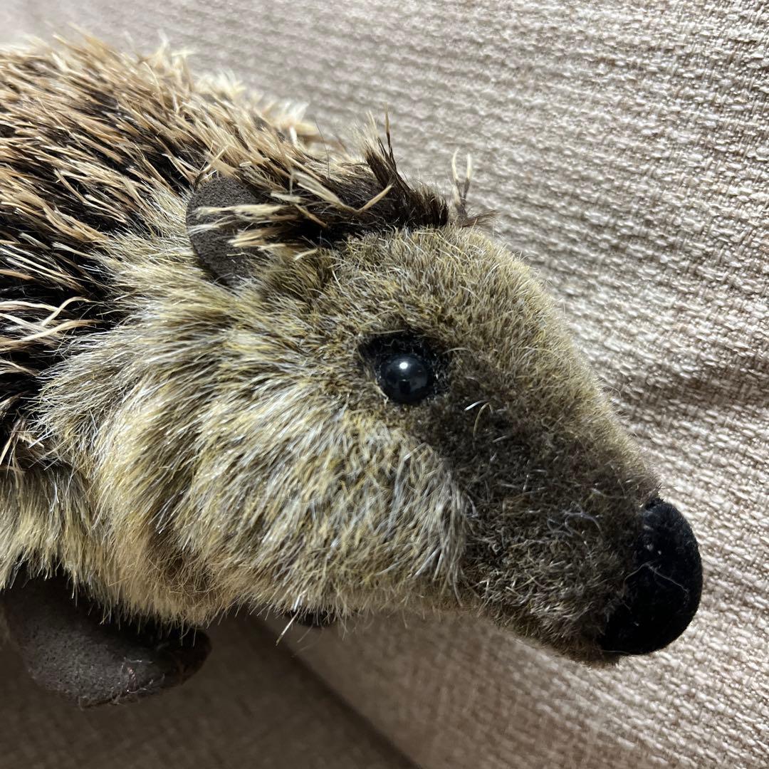 ケーセン　ぬいぐるみ　ハリネズミ