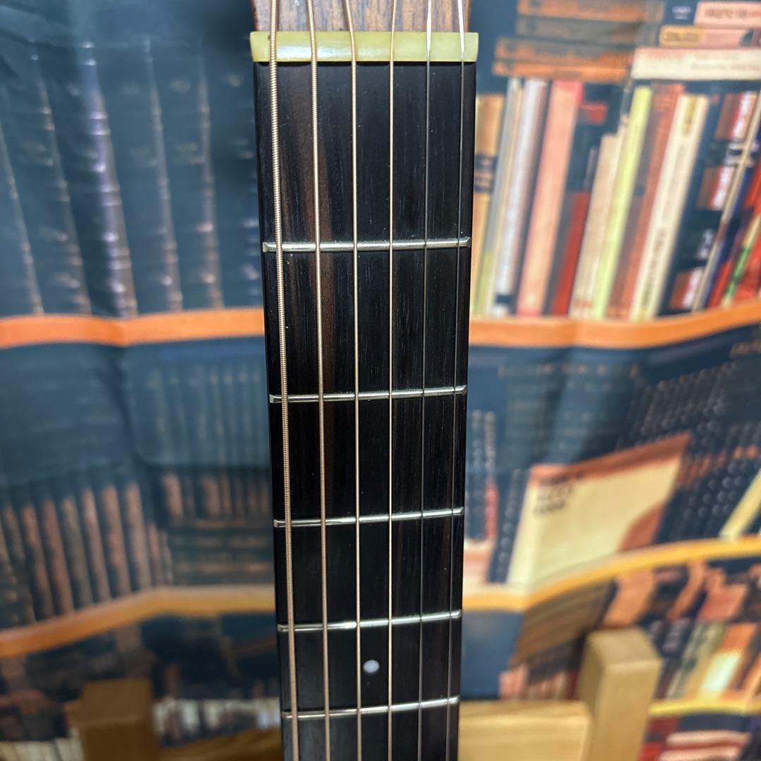 K.yairi RF-65LITE L.R.Baggs anthem付き