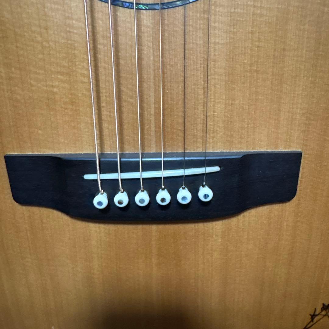 K.yairi RF-65LITE L.R.Baggs anthem付き