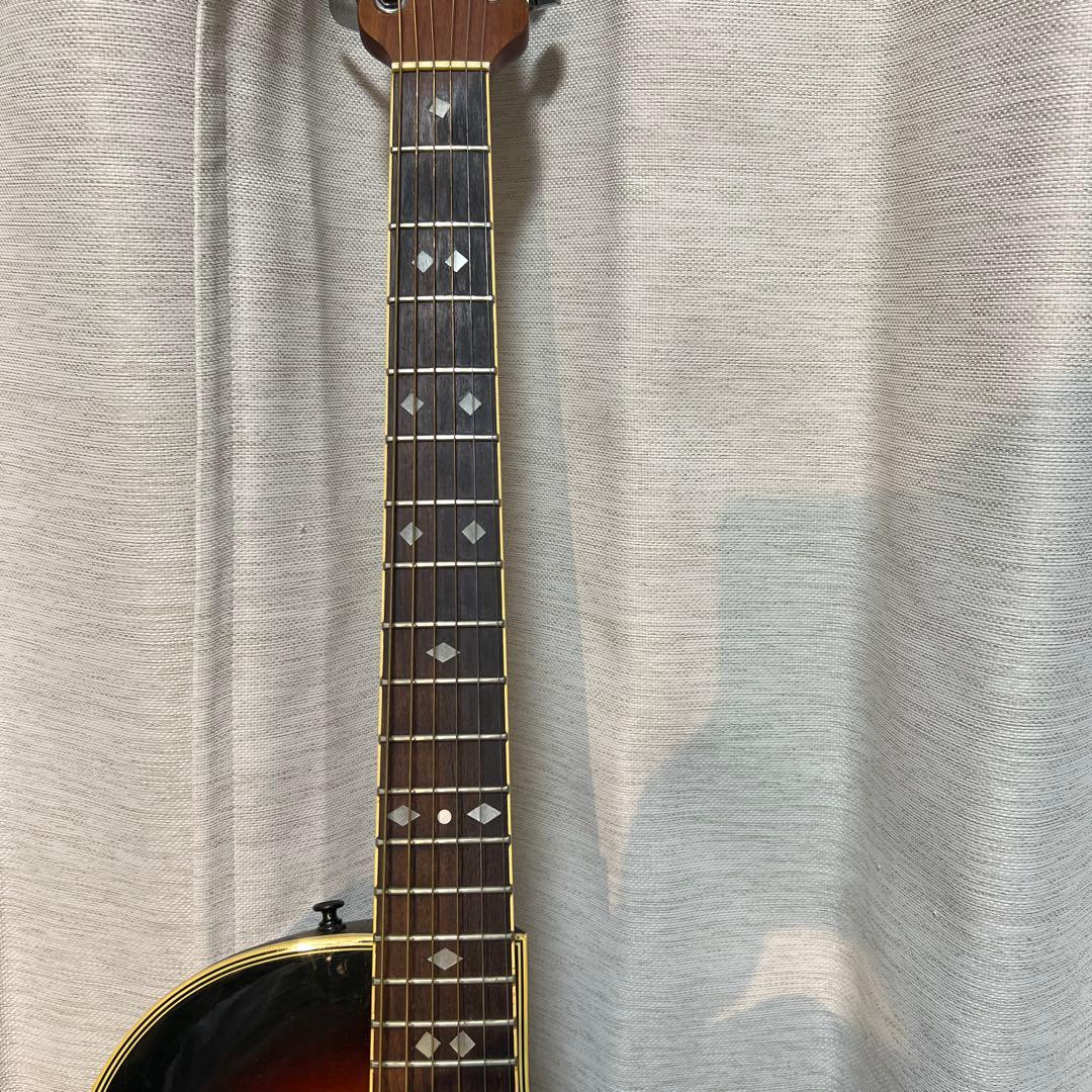Ovation Celebrity CC157 エレアコ シャロー
