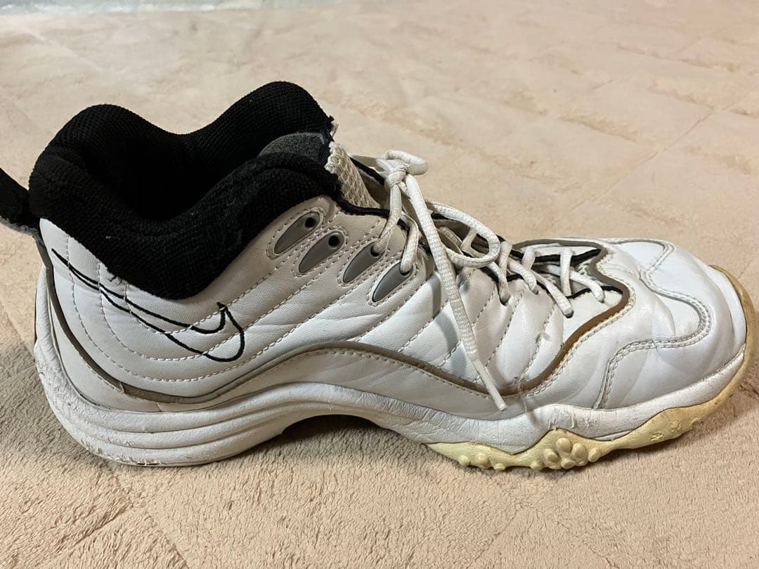 【希少】NIKE AIR ZOOM FLIGHT 5 エアズームフライト5