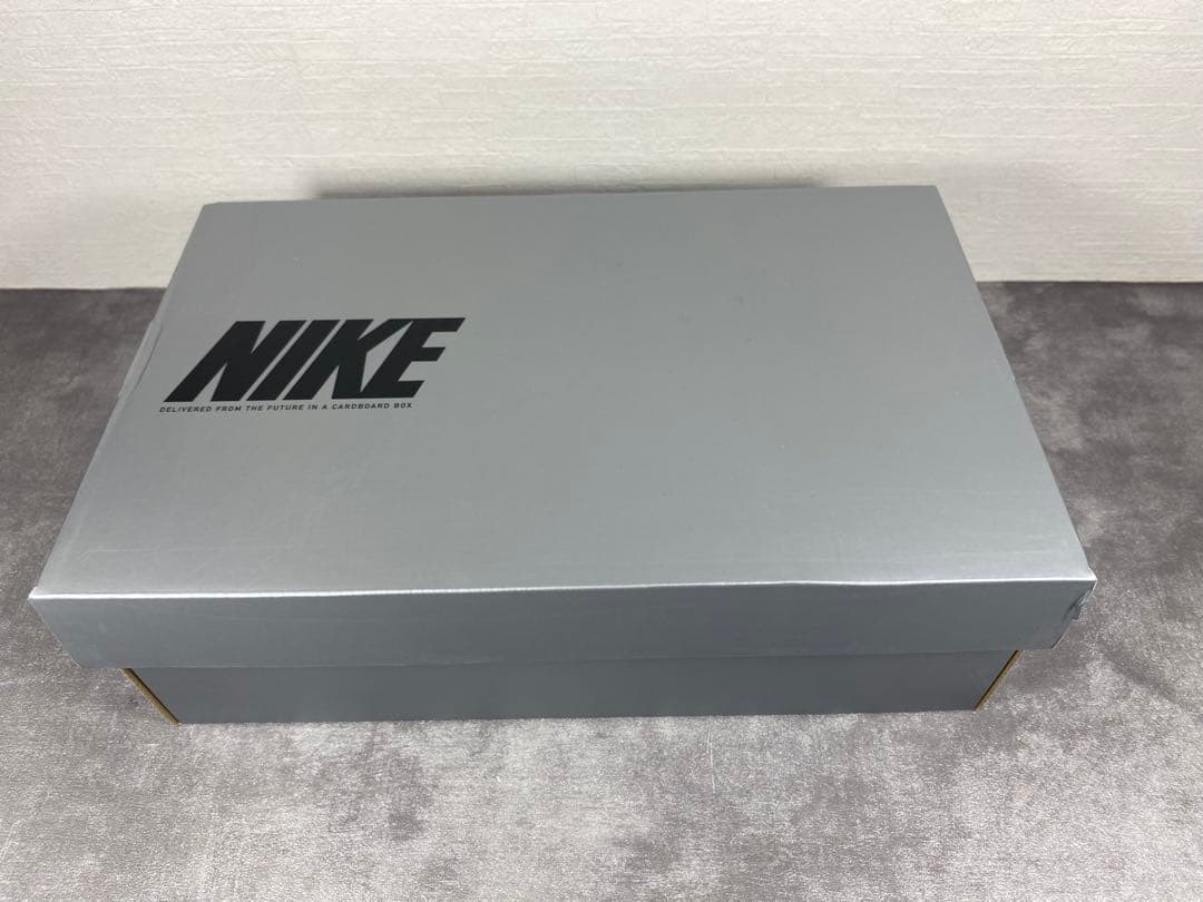 ナイキ NIKE ティエンポ レジェンド 10エリート FG