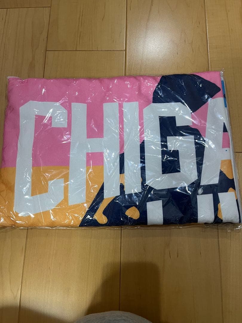 サザンオールスターズ茅ヶ崎2023LIVE Tシャツ Sサイズ ・烏帽子岩タオル