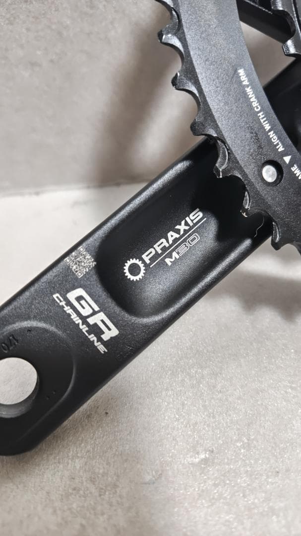 【ネサゲ】プラクシスワークス PRAXIS ALBA クランク170mm