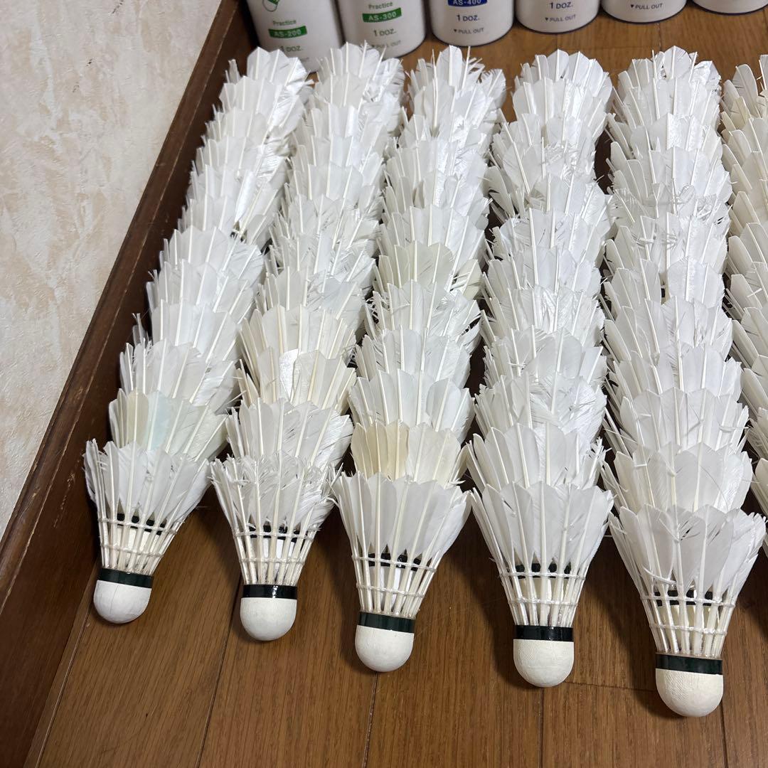 バドミントンシャトルノック基礎打ちシャトル