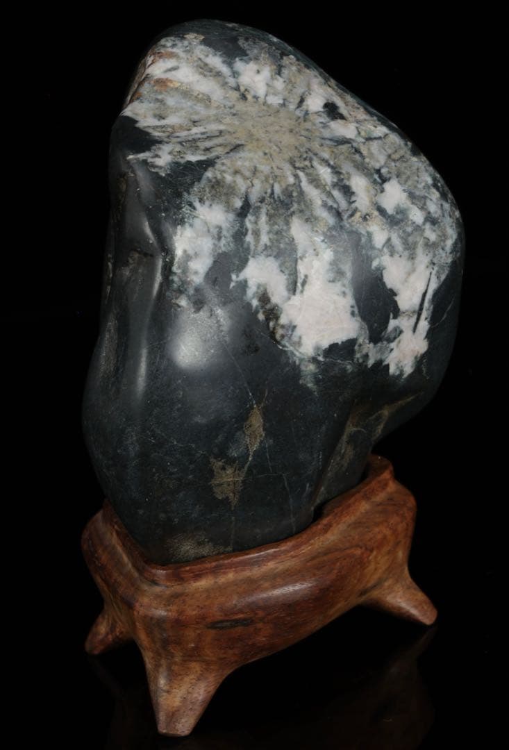 天然菊花石 鑑賞石 1883g 台座付 水石 盆石 天然石 原石 盆栽 盆景
