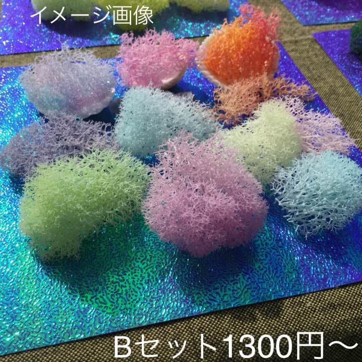 ✴︎琉球プリザモス✴︎ カラーサンプル｛パステルミックスセット ｝ハーバリウム