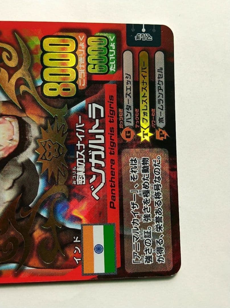 アニマルカイザー優勝カード