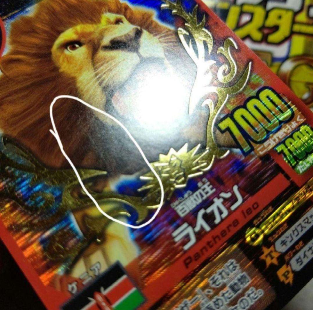 アニマルカイザー優勝カード