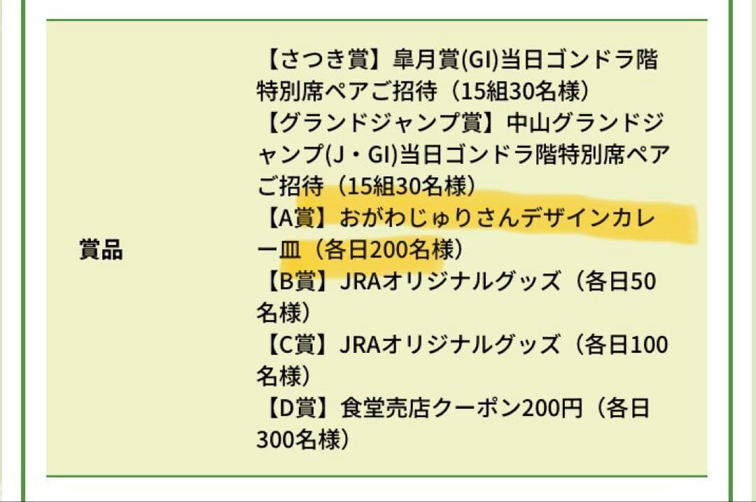 JRA中山競馬場 グルメイベント おがわじゅりさんデザインカレー皿2枚セット
