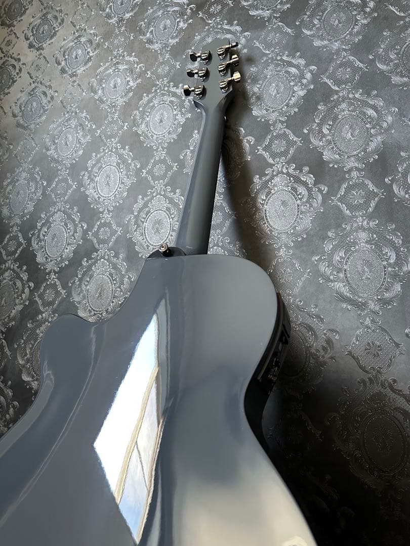 【希少】takamine LTD 2019 moon エレアコ