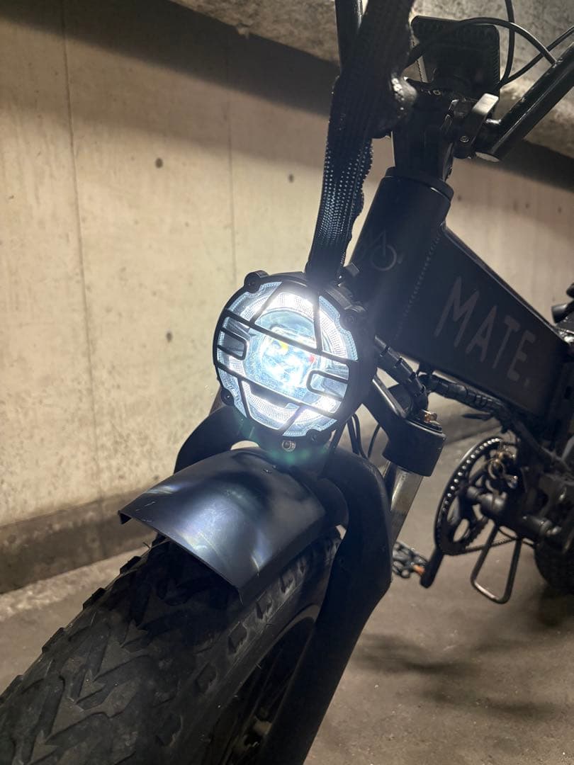 MATE X 250 カスタム多数