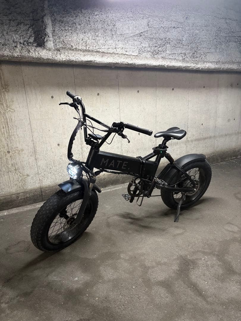 MATE X 250 カスタム多数