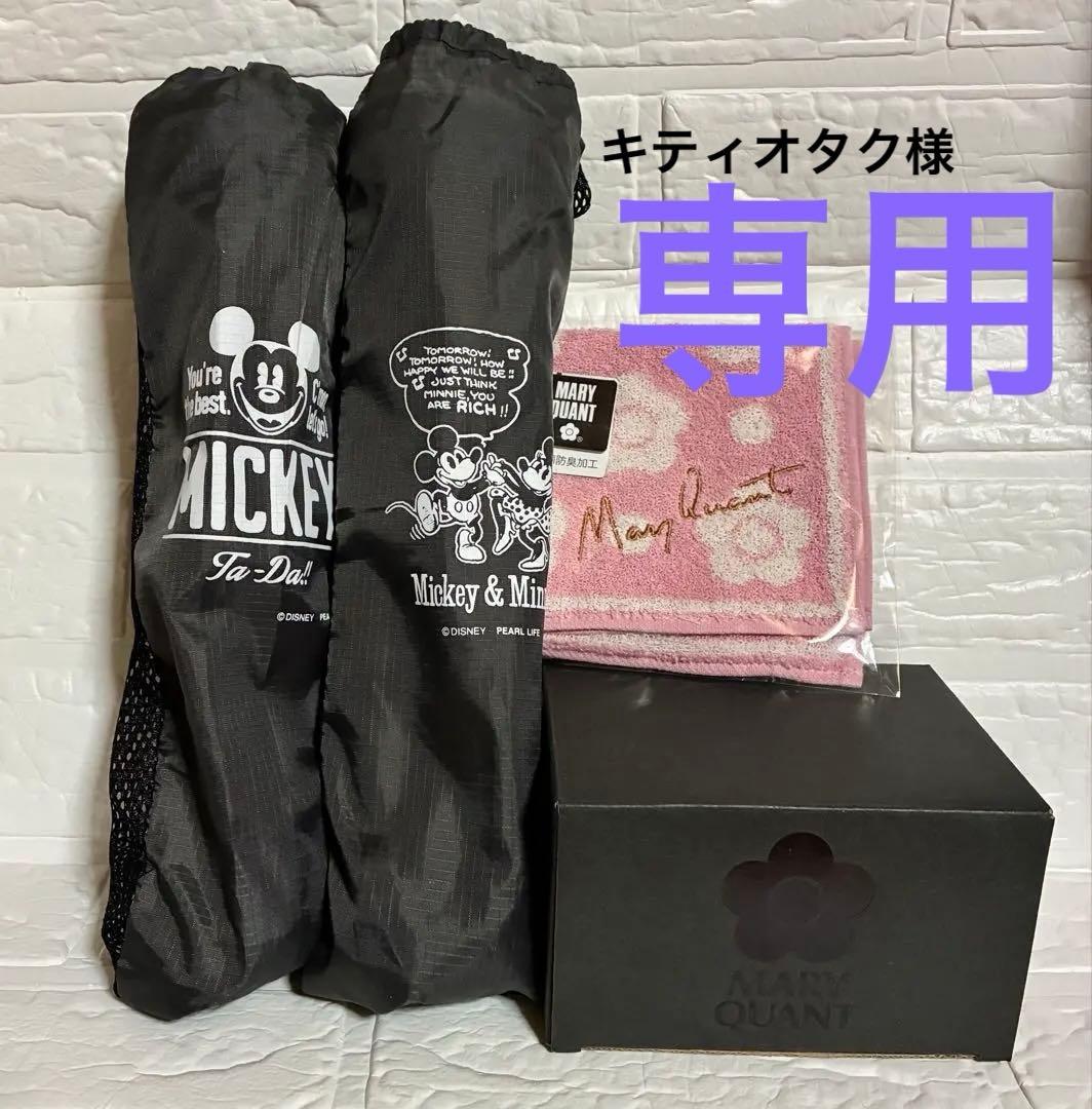 便利な収納袋付き！パール金属 ディズニー「持ち運び楽々軽量コンパクトチェア　2脚