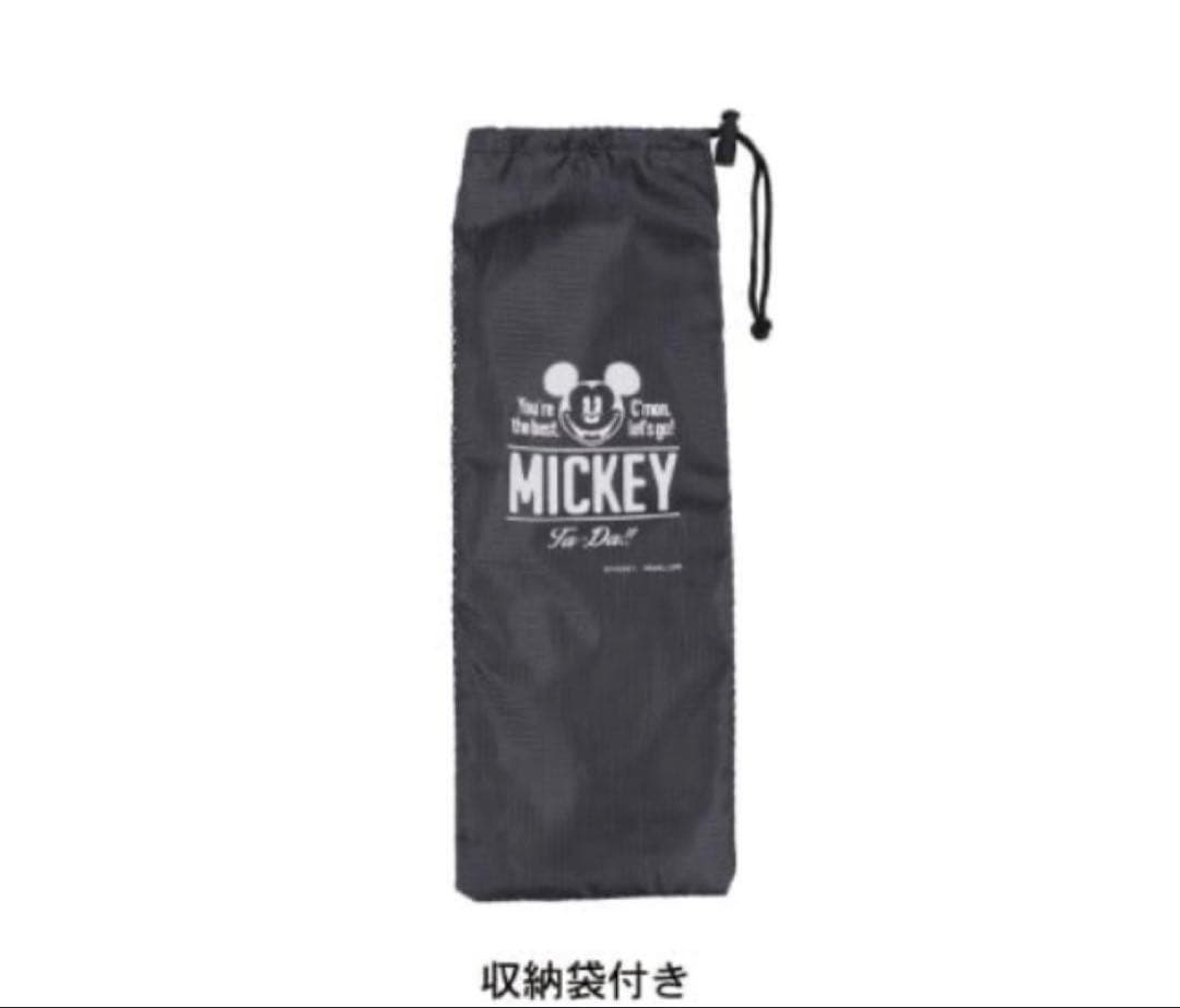 便利な収納袋付き！パール金属 ディズニー「持ち運び楽々軽量コンパクトチェア　2脚