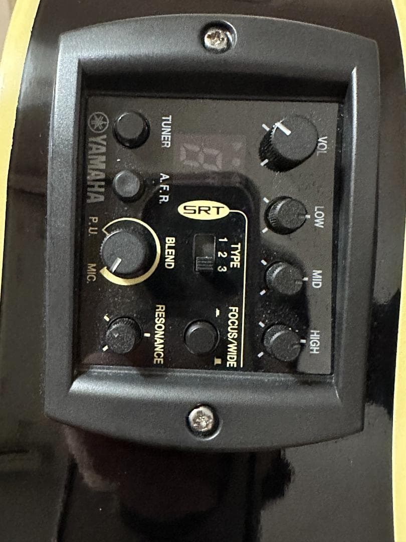 YAMAHA APX1000 長渕剛 HUNGRY MODEL レプリカ