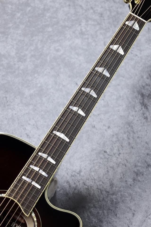 YAMAHA APX1000 長渕剛 HUNGRY MODEL レプリカ