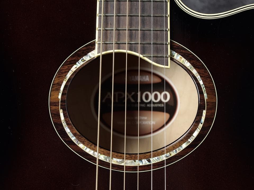 YAMAHA APX1000 長渕剛 HUNGRY MODEL レプリカ