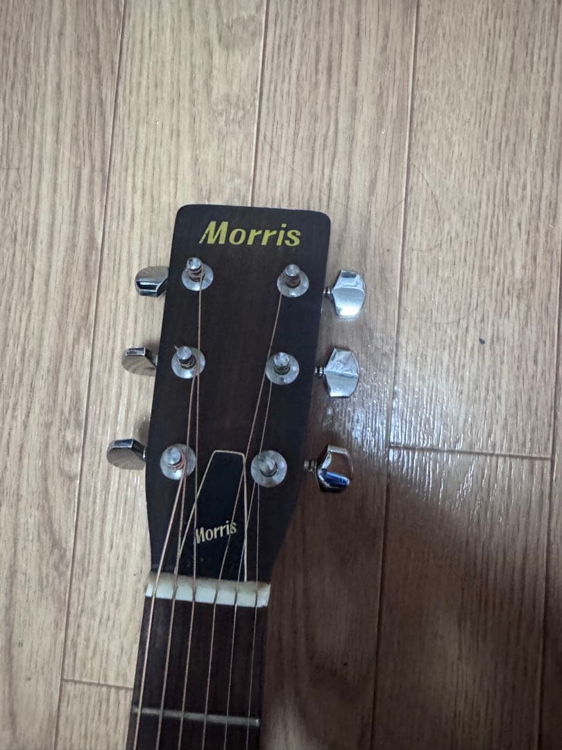 Morris アコースティックギター