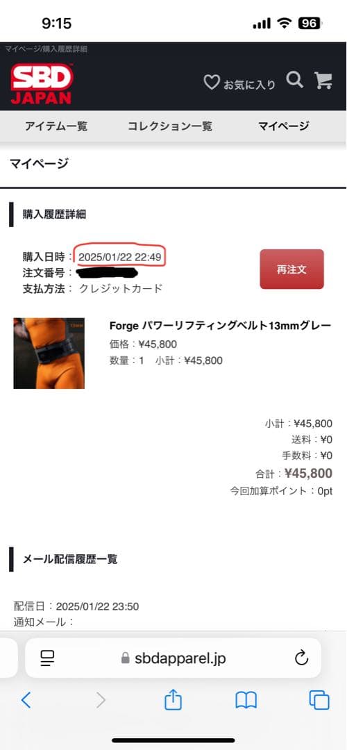 【SBD】Forge パワーリフティングベルト13mmグレー Mサイズ