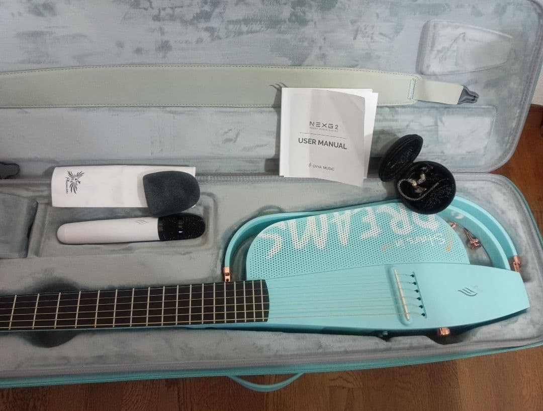 【新品ほぼ未使用　Enya NEXG 2　 エレアコ　エメラルドブルー