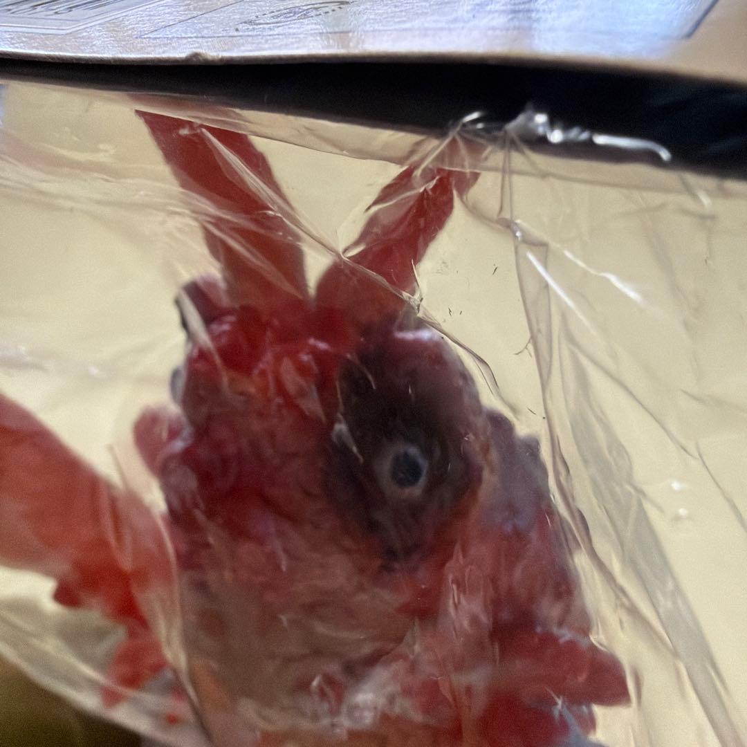 ブルマァク ガニメ　ソフビ　ゴジラ　怪獣