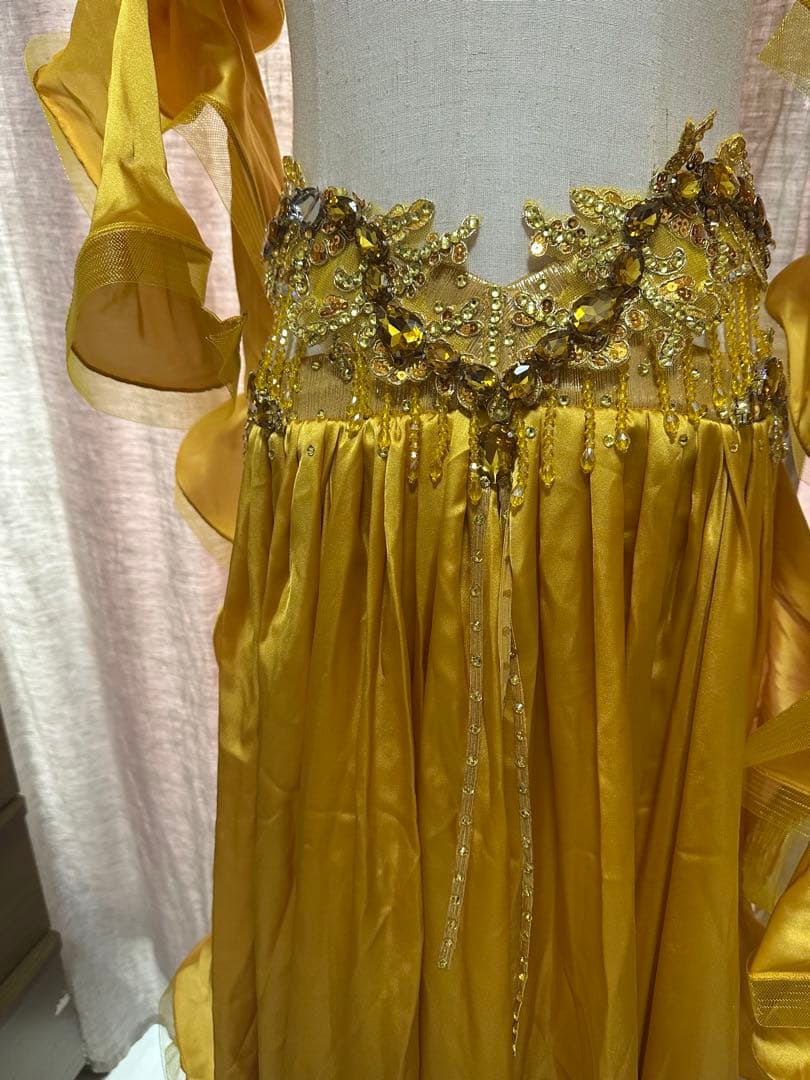 <春節祭>波　オーダー豪華衣装　新品　ベリーダンス　4点セット