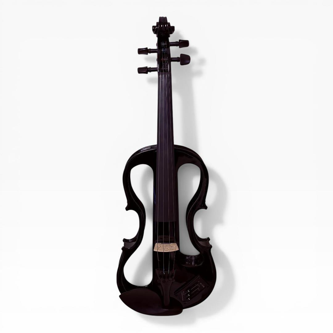 【美品】Carlo giordano EV-202 エレキバイオリン