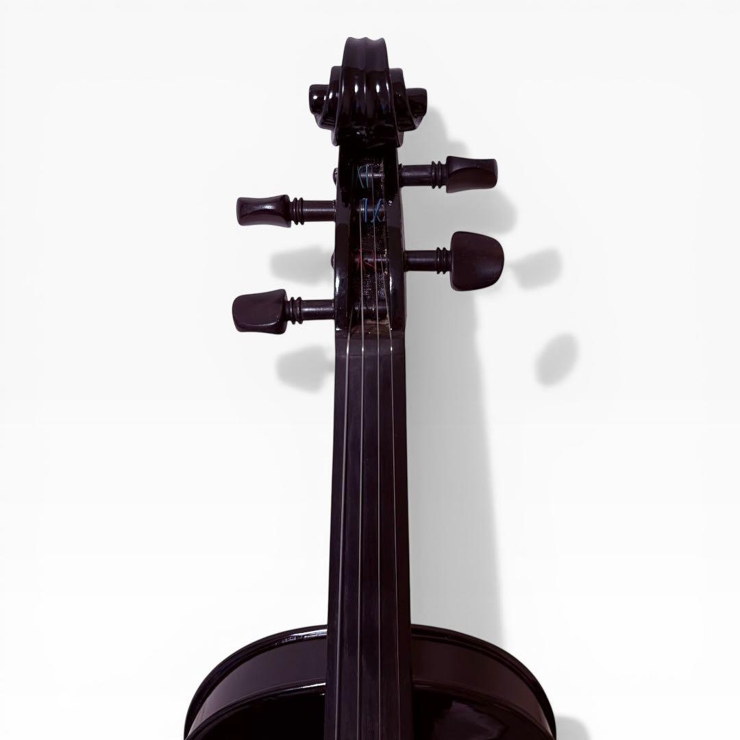 【美品】Carlo giordano EV-202 エレキバイオリン