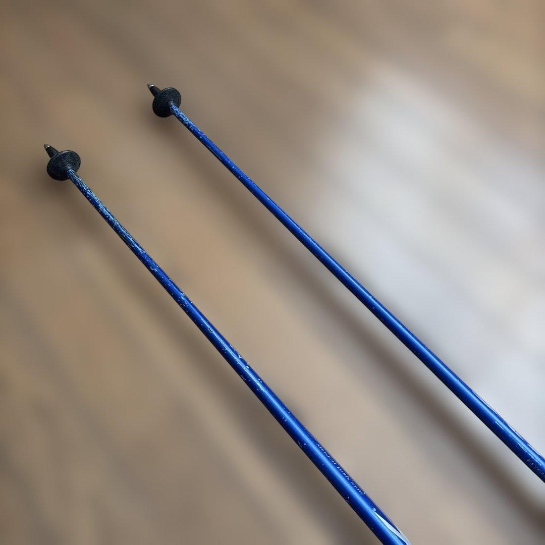 Swix ポール　パンチガード付　117.5cm