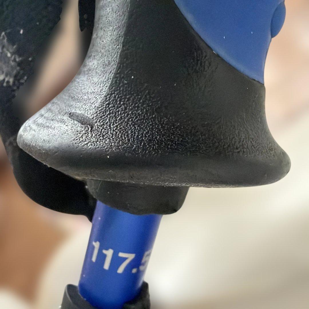 Swix ポール　パンチガード付　117.5cm