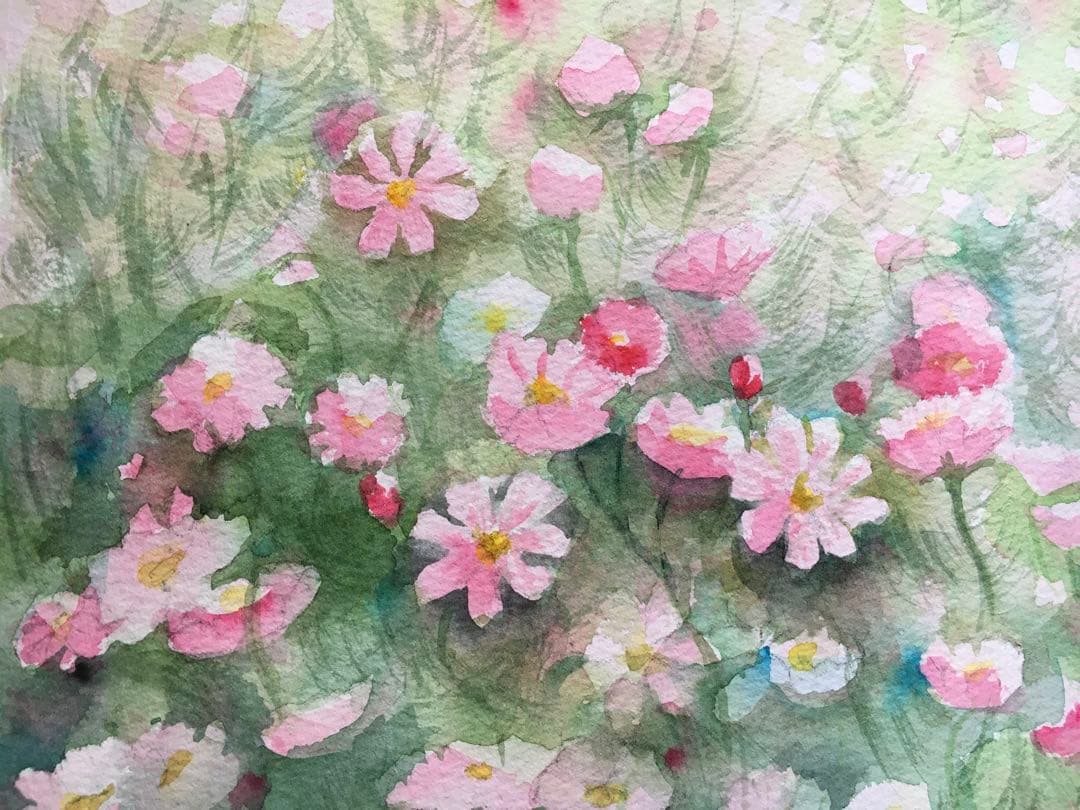 透明水彩画原画風に揺れるコスモスたち